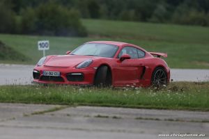 IMG_3998-web.jpg