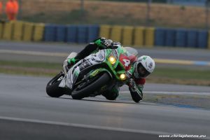 IMG_5523-web.jpg