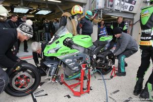 IMG_7758-web.jpg