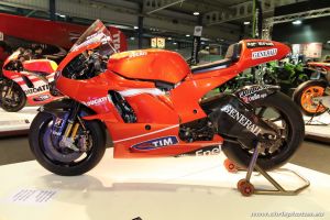 IMG_0929-DxO-web.jpg