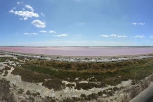 Salins-de-giraud-04-2016-08-05-web.jpg