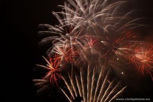 IMG_2593-web.jpg