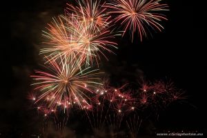 IMG_5472-web.jpg