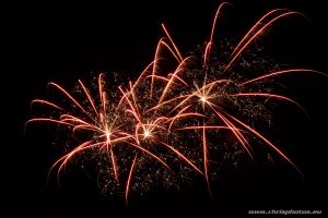 IMG_5389-web.jpg