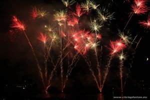 IMG_5505-web.jpg