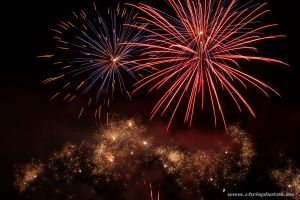 IMG_5660-web.jpg