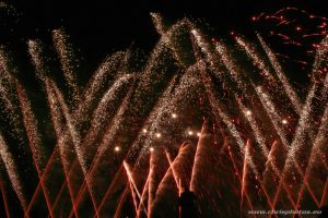 IMG_8550-web.jpg