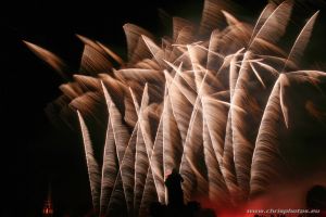 IMG_8544-web.jpg