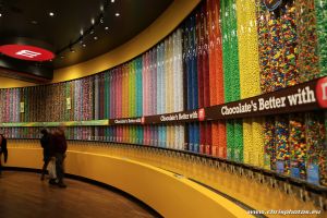 IMG_6639-web.jpg