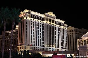 IMG_6937-web.jpg