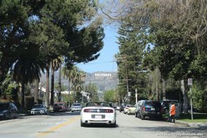 IMG_4960-web.jpg
