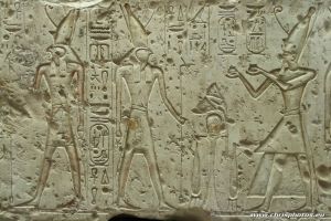 IMG_8252-web.jpg