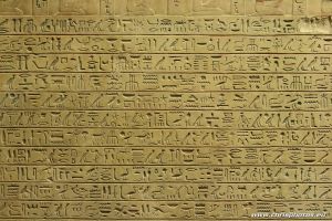 IMG_8271-web.jpg