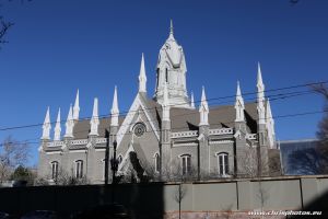 IMG_0610-web.jpg