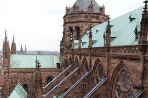 IMG_2186_DxO-web.jpg
