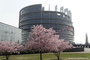 IMG_2510_DxO-web.jpg