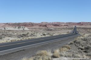 IMG_9008-web.jpg