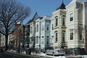 IMG_0686-web.jpg