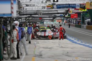 IMG_4558.JPG